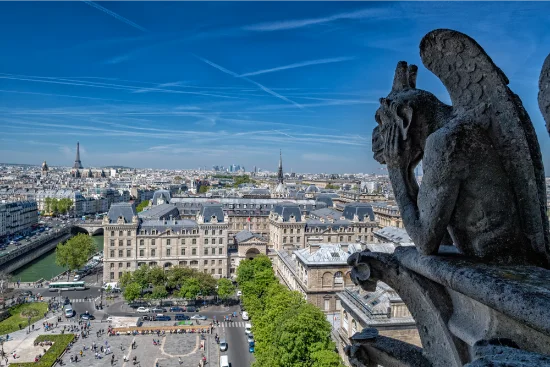 Vista su Parigi dalla Cattedrale di Notre-Dame, Francia
